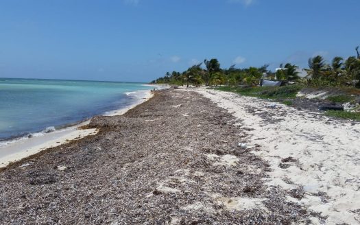 ID 105 Terreno frente al mar en Mahahual